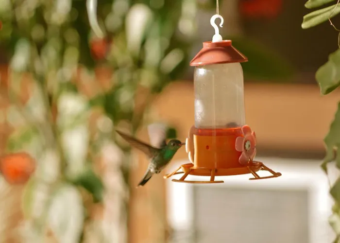 Calmaria Suítes Búzios